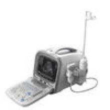 Beste Portable digitale Ultraschall-Scanner Maschine PT6601